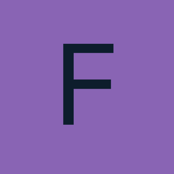 Fly Studio